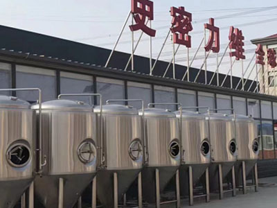 亭湖精酿啤酒设备厂—市场规模与跨界新需求